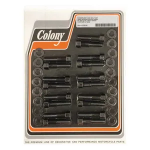 Colony Colony head bolt kit