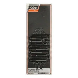 Colony Colony, 12-point ''big bore'' head bolt kit. Black