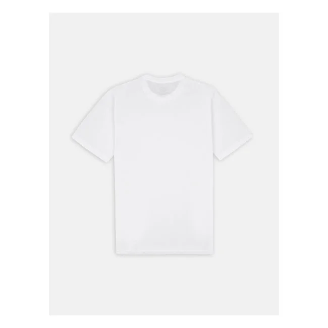Dickies T-shirt pack dark white