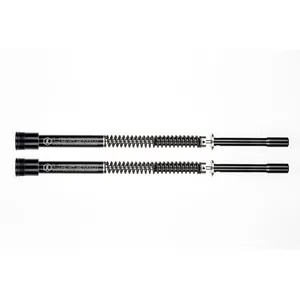 Legend Air Suspension Legend, 49mm Axeo Performance fork cartridge set
