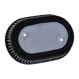 OEM OEM air filter element