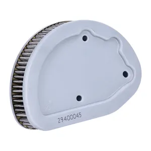 OEM OEM air filter element
