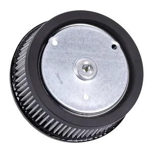 OEM OEM air filter element