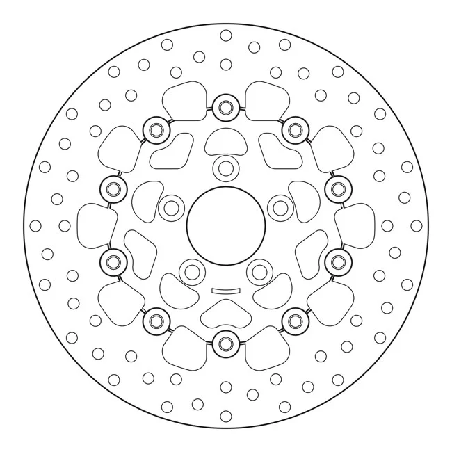 Brembo Stainless floating brake rotor. Rear