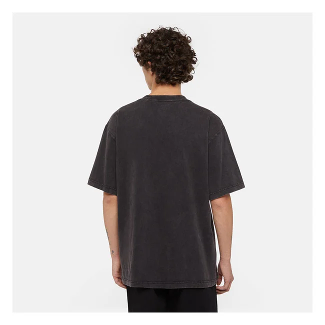 Dickies Plentywood t-shirt acid wash black