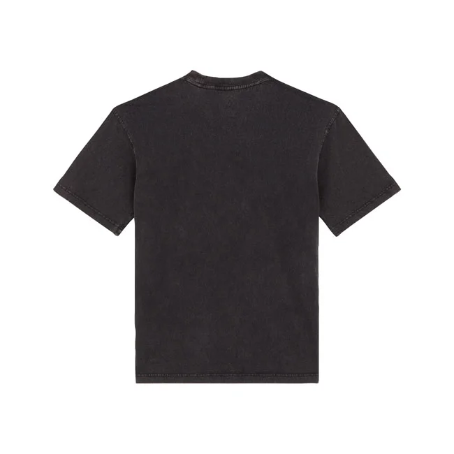 Dickies Plentywood t-shirt acid wash black