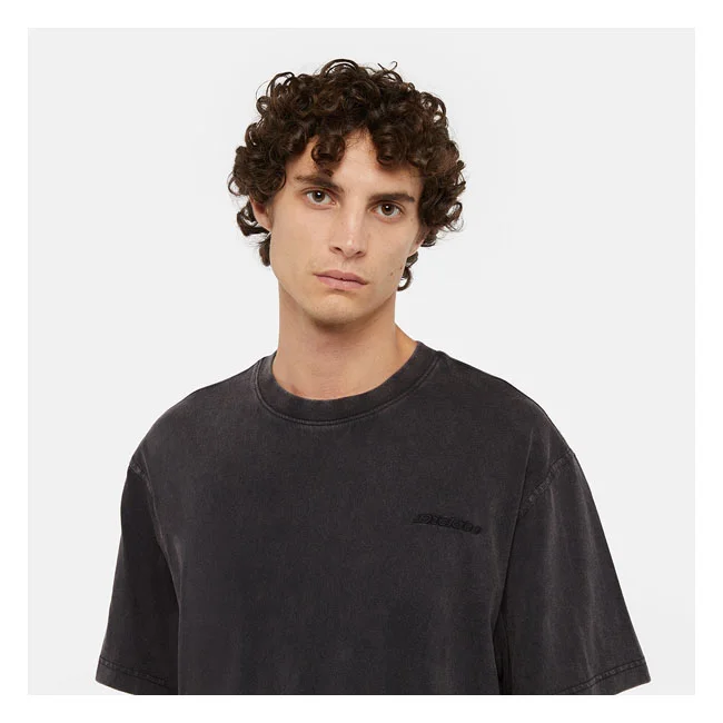 Dickies Plentywood t-shirt acid wash black
