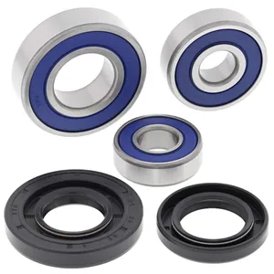 ALL BALLS BRNG KT WHEEL RR KT