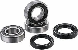FACTORY LINKS BEARING KIT RR WHEEL