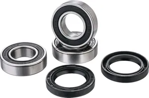 FACTORY LINKS BEARING KIT RR WHEEL
