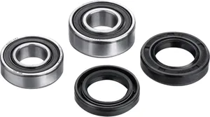 FACTORY LINKS BEARING KIT RR WHEEL