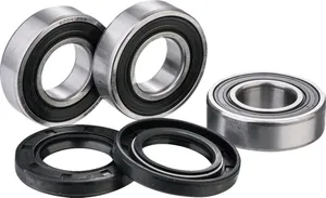 FACTORY LINKS BEARING KIT RR WHEEL