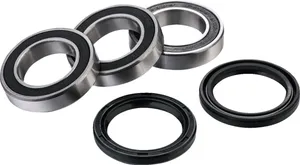 FACTORY LINKS BEARING KIT RR WHEEL