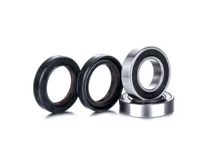 FACTORY LINKS BEARINGS KIT WHEEL RACE SERIES