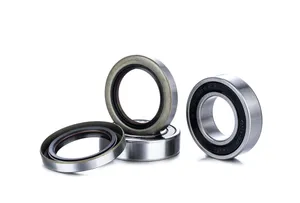 FACTORY LINKS BEARINGS KIT WHEEL RACE SERIES