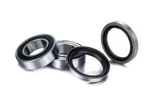 FACTORY LINKS BEARINGS KIT WHEEL RACE SERIES