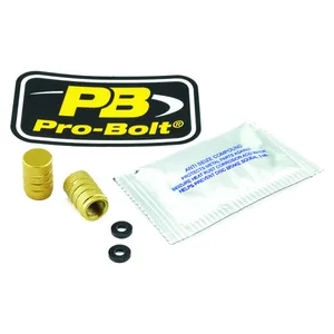 PRO BOLT Aluminium Valve Dust Cap Pack x2 Gold