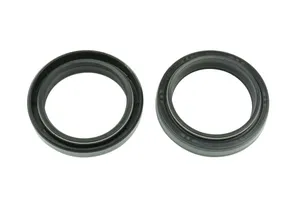 ATHENA FRK SEAL 43X55X11/14