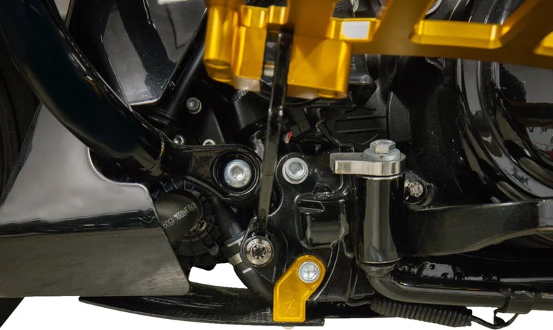 Thrashin Supply Co. PLATE SKID CARBON GLOSS W/GOLD
