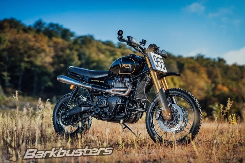 BARKBUSTERS HANDGUARD CARBON