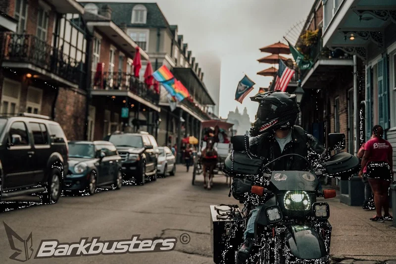 BARKBUSTERS HANDGUARD BBZ