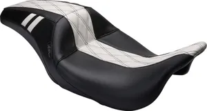 Le Pera SEAT OCAST GT1 WT DD FLH