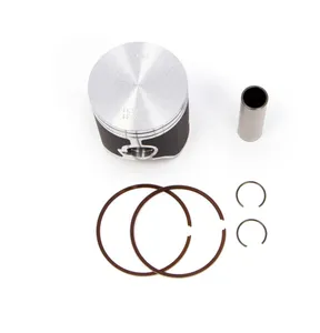 VERTEX PISTON KIT 24390B