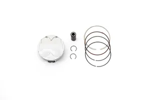 VERTEX PISTON KIT 24509A