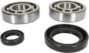 PROX CRANKSHAFT BEARING AND SEAL KIT