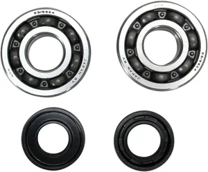 PROX CRANKSHAFT BEARING AND SEAL KIT