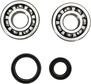 PROX CRANKSHAFT BEARING AND SEAL KIT