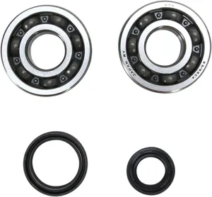 PROX CRANKSHAFT BEARING AND SEAL KIT