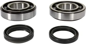 PROX CRANKSHAFT BEARING AND SEAL KIT
