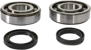 PROX CRANKSHAFT BEARING AND SEAL KIT