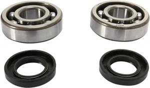 PROX CRANKSHAFT BEARING AND SEAL KIT