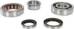 PROX CRANKSHAFT BEARING AND SEAL KIT
