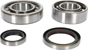 PROX CRANKSHAFT BEARING AND SEAL KIT