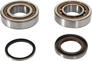 PROX CRANKSHAFT BEARING AND SEAL KIT