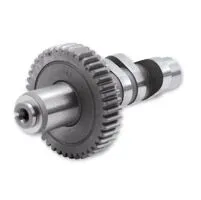 S&S Camshafts 54-84 Big Twins with S&S Valve Train Conversion Kit<br><ul><li>Quality construction</li><li>Higher lift and increased valve timing for better performance</li><li>Quiet, dependable hydraulic valve train when used with S&amp;amp;S Hydraulic conversions kits</li><li>PART# 0925-0930 is for 54-84 Big Twin models (stock or low compression), alternator style</li><li>PART# 0925-0931 is for 54-84 Big Twin models (stock or low compression), generator style</li><li>PART# 0925-0938 is for 54-84 Big Twin models (8,5:1 - 9,5:1 compression ), generator style</li></ul>