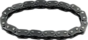 S&S CAM CHAIN INNER- 07-17 TC - #2