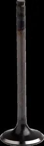 PROX ENGINE VALVE EXHAUST STEEL