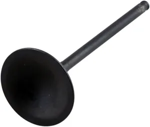 KIBBLEWHITE VALVE BLACK DIAMOND INTAKE