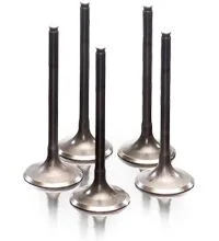 PROX ENGINE VALVE EXHAUST STEEL