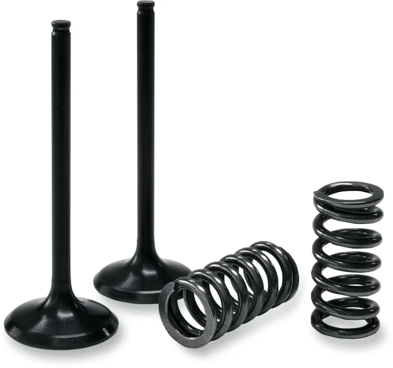 PROX VALVE AND SPRING EXHAUST KIT