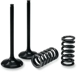PROX VALVE AND SPRING EXHAUST KIT