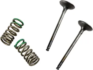 PROX VALVE AND SPRING EXHAUST KIT