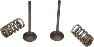 PROX VALVE AND SPRING EXHAUST KIT