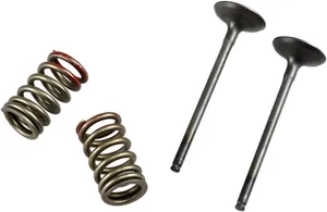 PROX VALVE AND SPRING EXHAUST KIT
