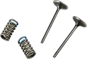 PROX VALVE AND SPRING INTAKE KIT