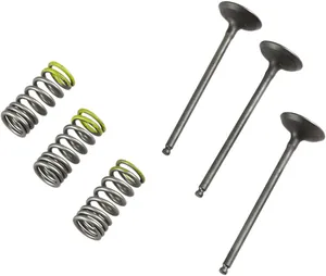 PROX VALVE AND SPRING INTAKE KIT